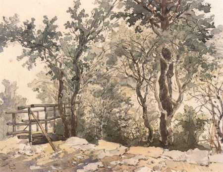 Paisaje