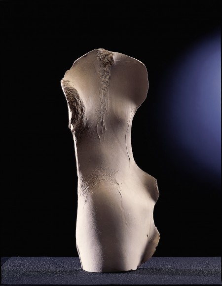 NINFA DE PONTEVELLA