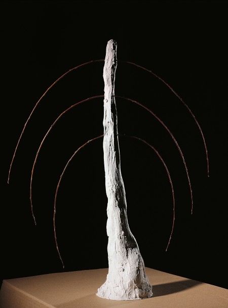 ÁRBOL LLORÓN