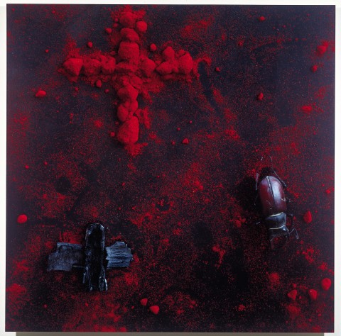 Cruz negra, escarabajo rojo
